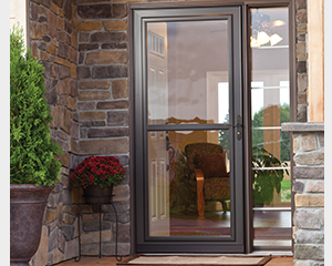 Storm Door