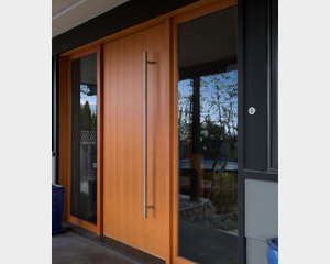 Solid Wood Door