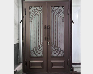 Steel Door