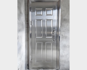 Stainless Steel Door