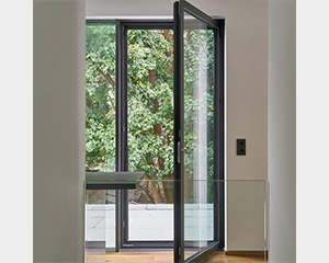 Swing Door