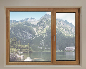 Energy-Efficient Window