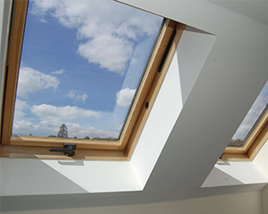 Skylight Window