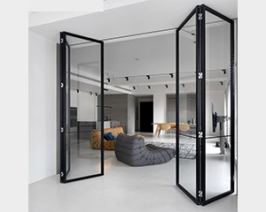 Bifolding Door